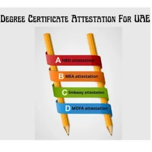 Degree Certificate Attestation