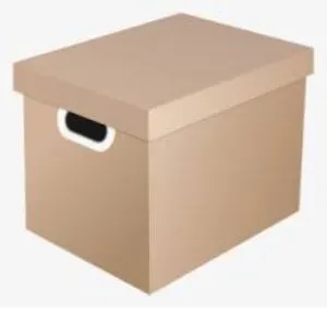 Carton with Top Lid