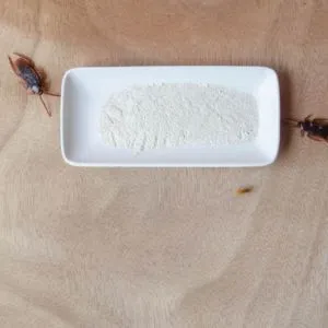 Cockroach Traps