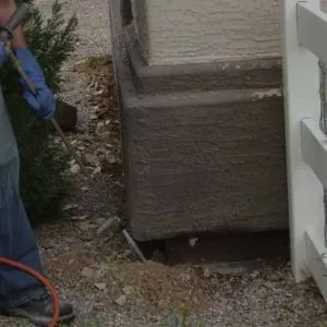 Comprehensive Termite Control Services