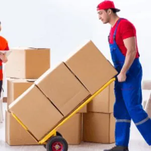 Professional Movers And Packers