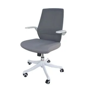 Adjustable Ergonomic Office Chair