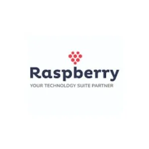 Raspberry IT Services