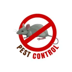 Mice And Rodent Pest Control