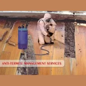 Termite Control Service