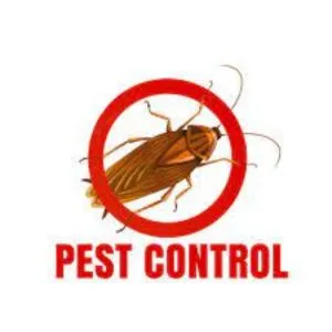 Cockroach Control Services