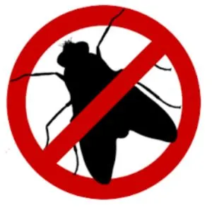 Flies Pest Control Solution