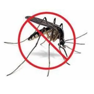 Mosquitoes Pest Control Services