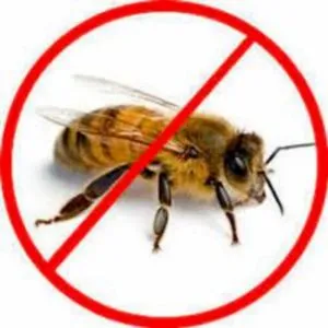 Bees And Hornet Pest Control