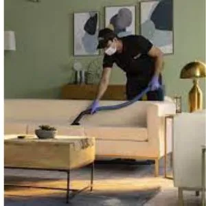 Professional Sofa Cleaning Services