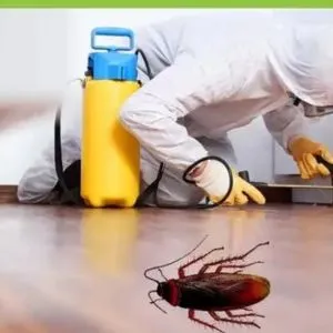 Pest Control For Cockroaches