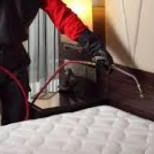 Bed Bugs Control Service