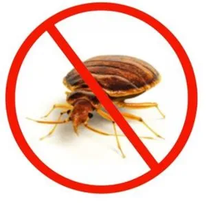 Pest Control Services For Bed Bug