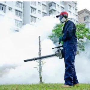 Residential Fumigation Services