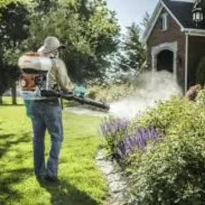 Mosquito Control Service