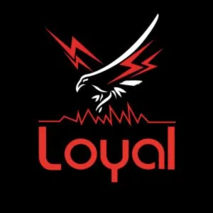 Loyal Electrical Contracting LLC