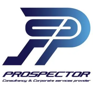 Prospector Consultancy And Corporate Services Provider LLC