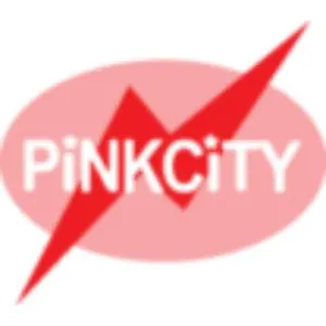 Pink City Group Of Companies