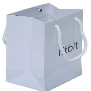 Large White Paper Bags