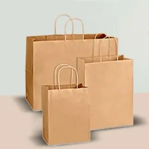 Square Bottom Paper Bags With Handle