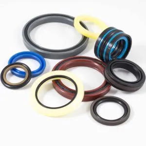 Hydraulic Gaskets