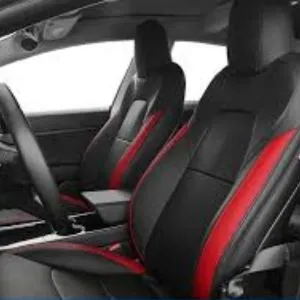 Car Interior Customizing