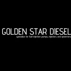 Golden Star Diesel Pumps Repair