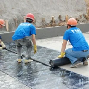 Membrane Waterproofing