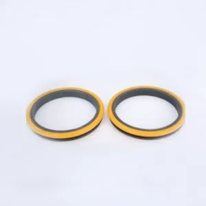 Oil Seals