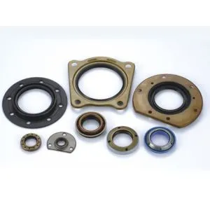 Nitrile Oil Seal