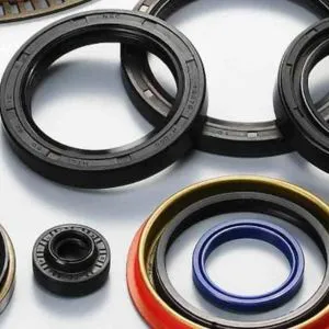 Oil Seals