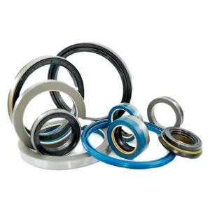 Oil Seals