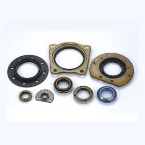 Oil Seal