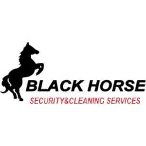 Black Horse Security