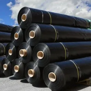 HDPE Geomembranes