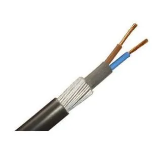 Two Core Armoured Cable