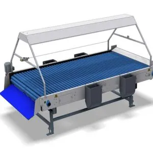 Fruit Sorting Conveyor