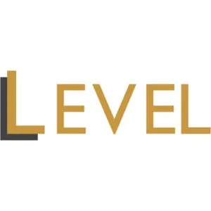 Level Accounts Auditing LLC