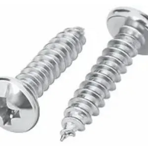 Self Tapping Screws