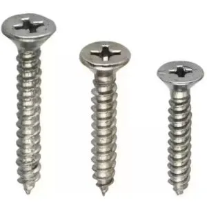 Stainless Steel Self Tapping Screw