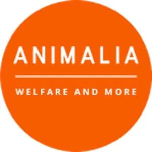 Animalia Animal Welfare And More