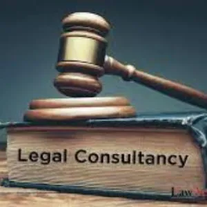 Law Consulting Firm