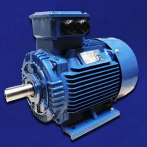 Weg Electric Motors