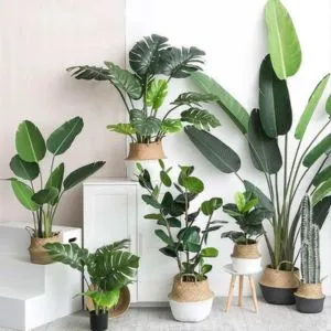 Artificial Tropical Plants