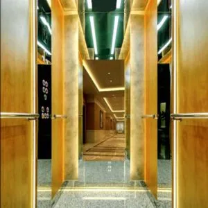 Customized Home Lifts