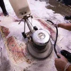 Carpet Shampooing