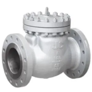 Swing Check Valve