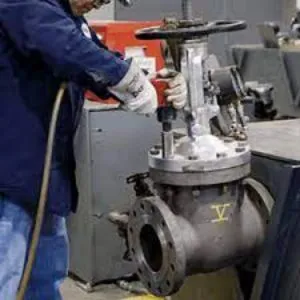 Valves Repairing Service