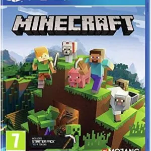 Minecraft Video Game