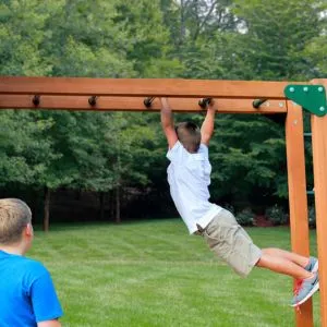 Playnation Monkey Bars